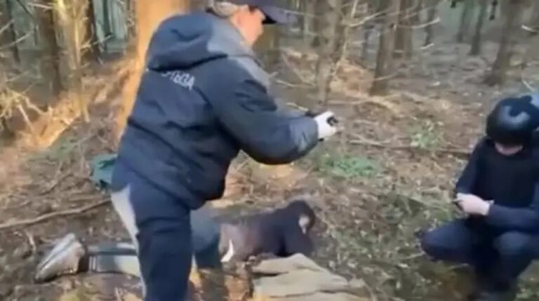 ஐரோப்பா எல்லைப்பகுதியில் யாழ். இளைஞரின் சடலம் மீட்பு: கொலை என சந்தேகம்