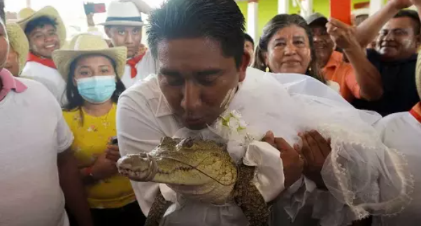 மெக்சிகோவில் மேயருக்கும் பெண் முதலைக்கும் திருமணம்