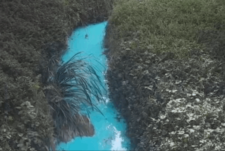 ஆஸ்திரேலியாவில் திடீரென நீல நிறமாக மாறிய வடிகால்