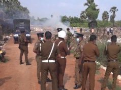 பருத்தித்துறை நீதிமன்றத்தால் 1000 கிலோ கஞ்சா அழிப்பு!